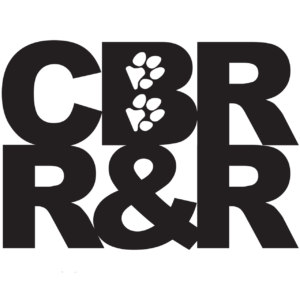 Chesapeake Bay Retriever Relief & Rescue