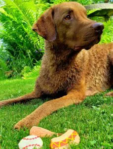 Mason Treat me Right