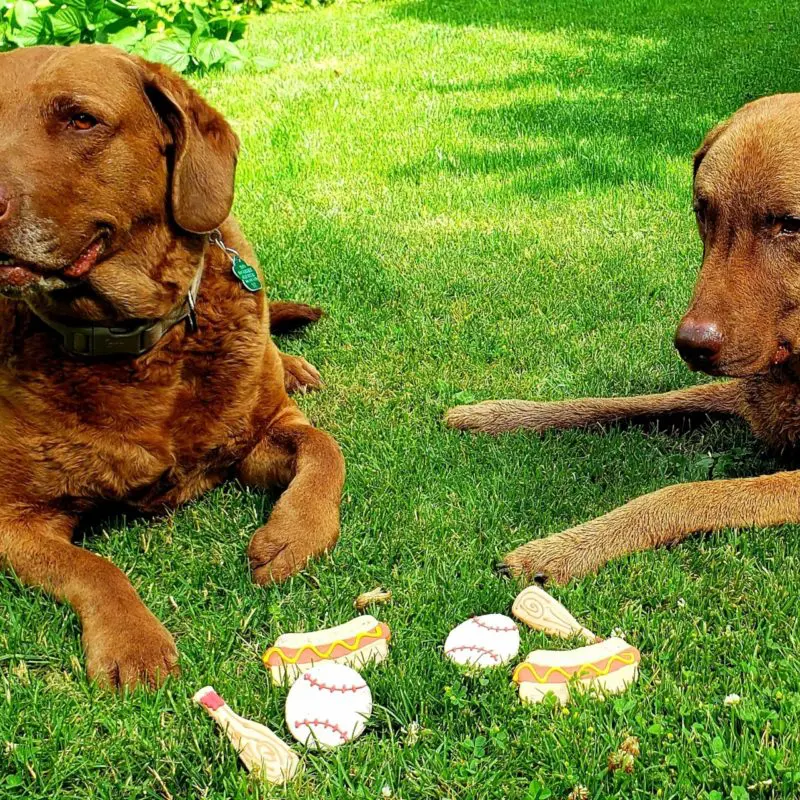 treat me right abby mason