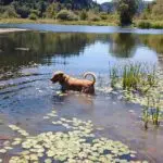 Max lake CBRRR NW 3257