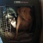 Max CBRRR NW 3257 Oliver