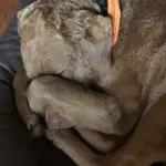 CHUG IMG_1032