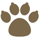Dog paw icon