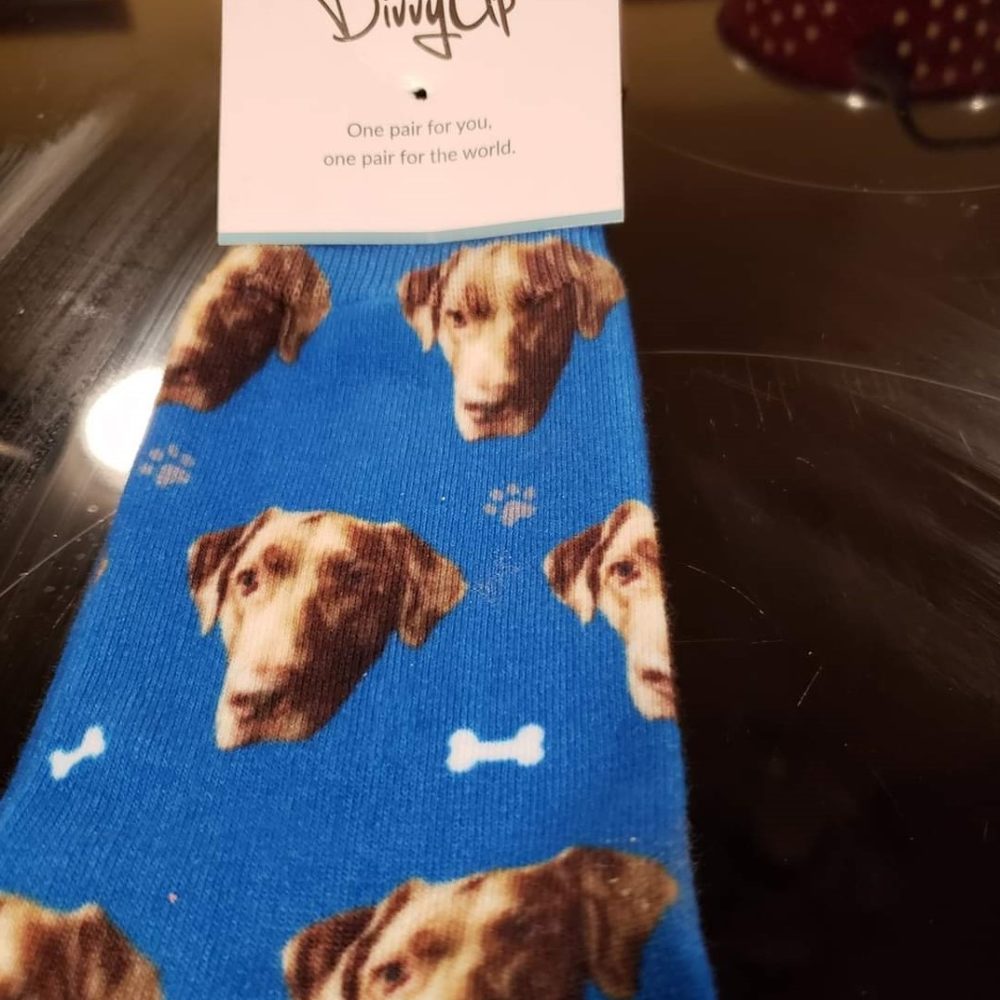 Divvy Up Sock Fundraiser Chesapeake Bay Retriever Relief & Rescue
