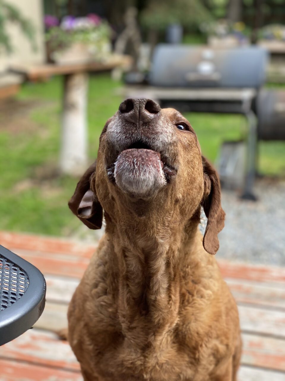 summer-4th-bbq