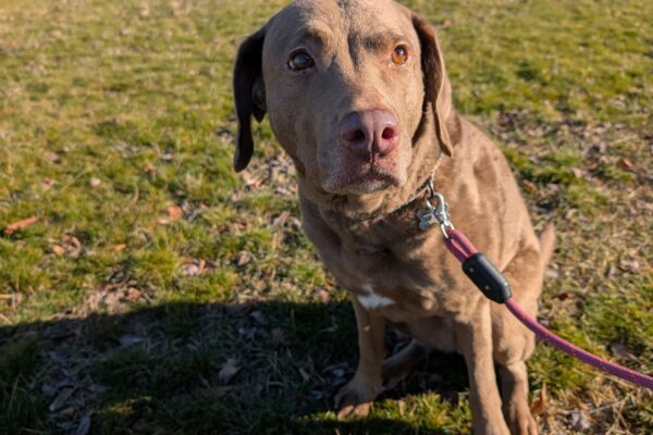 PXL_20260205_2238155013